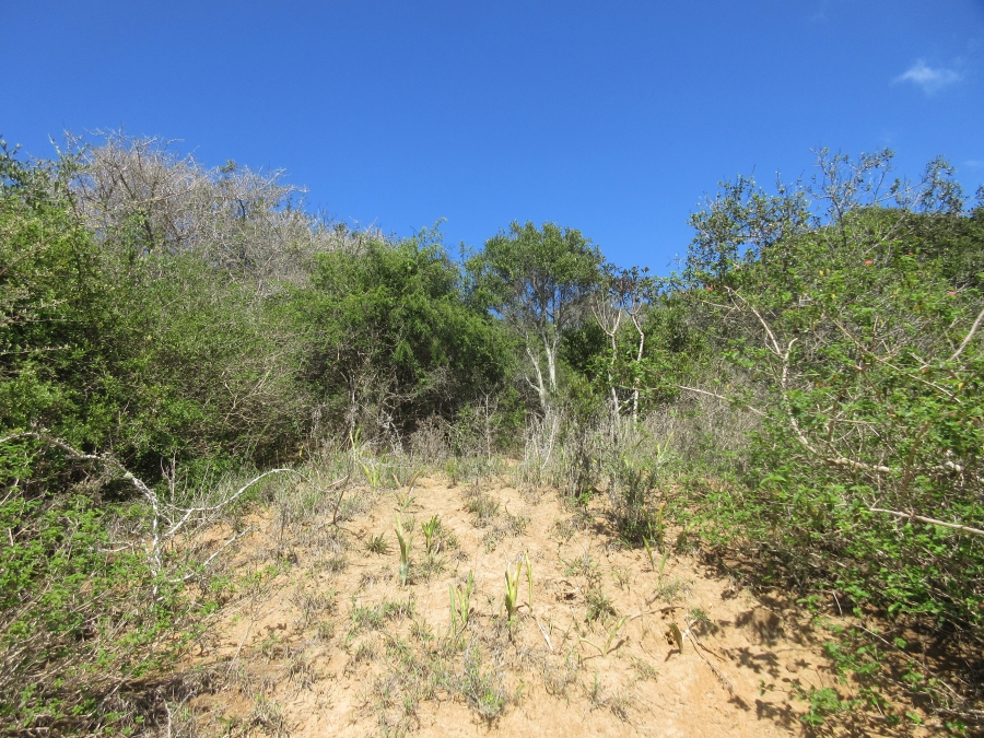 0 Bedroom Property for Sale in West Bank Eastern Cape